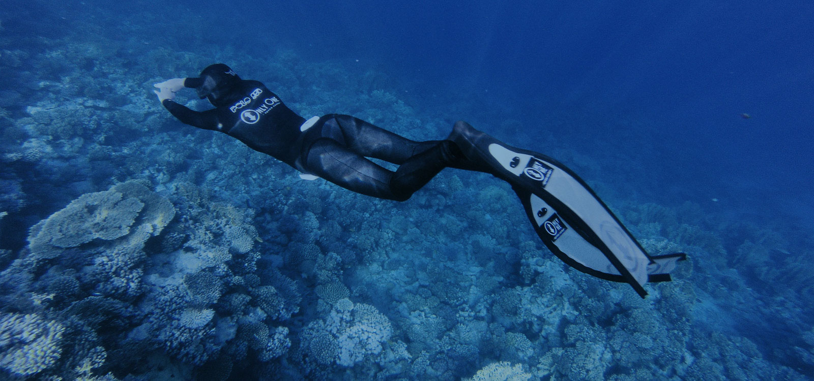 Only One Apnea Center gallery photo 3